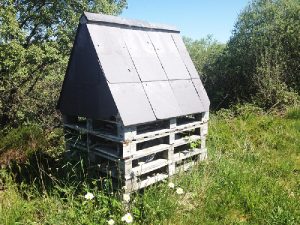 Golden Mile Insect House