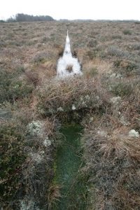 Blocked Drain at Clara Bog