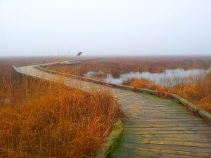 Clara Boardwalk in November