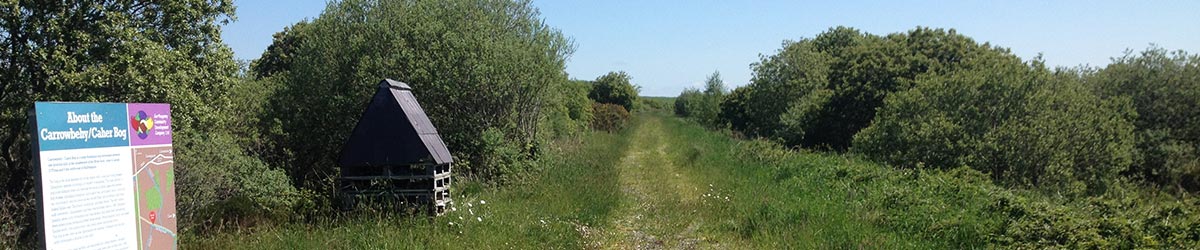 Carrowbehy / Caher Entrance