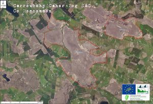 Carrowbehy / Caher Bog Aerial Boundary Map