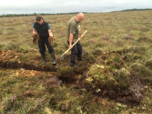 LIFE Project on Clara Bog