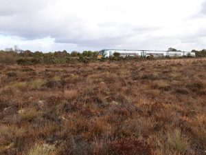 Sligo to Dublin Train cutting through Garrskil Bog