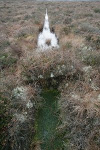 Clara Bog Drainage Channel