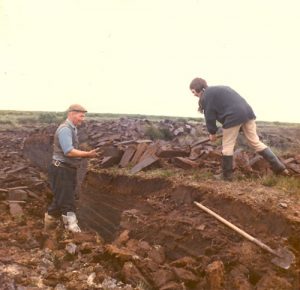 Turf being cut