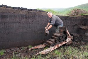 Turf Cuttings being place in Barrow