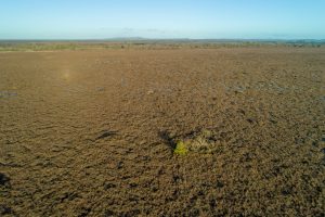 Alien Landscape - Garriskill Bog