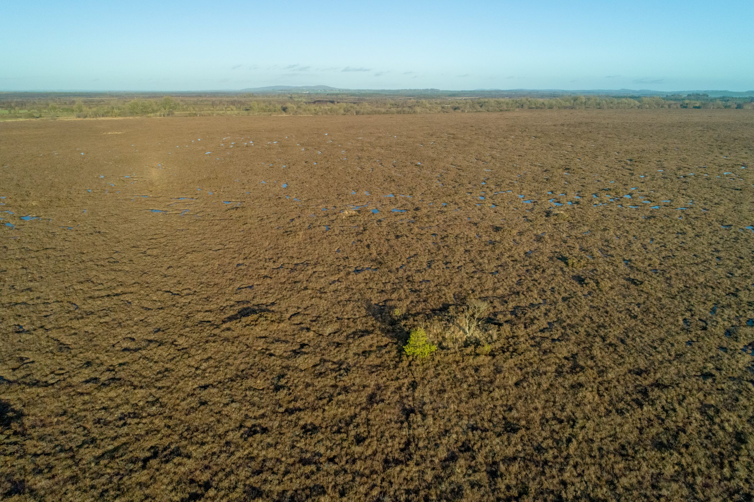 Alien Landscape - Garriskill Bog