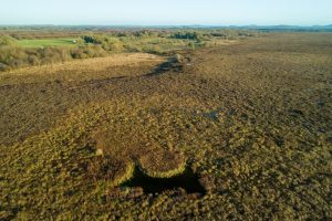 Garriskil Bog