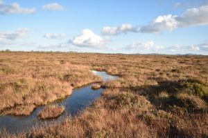 Garriskil Bog