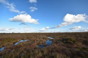 Garriskil Bog