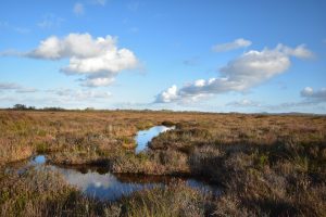 Garriskil Bog