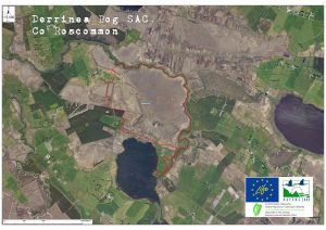 Derrinea Bog Boundary Map