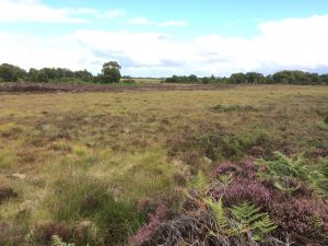 Garriskil Bog