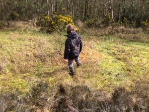 Moyclare Bog