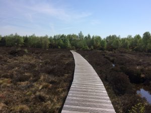 Boardwalk