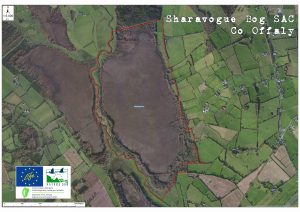 Sharavogue Bog Boundary Map