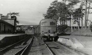 Birr to Roscrea Train