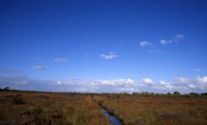 Garriskil Bog Water Channel