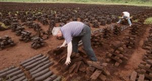 Turf being stacked at Killyconny