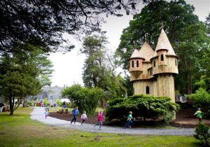 Birr Castle Treehouse Adventure Area