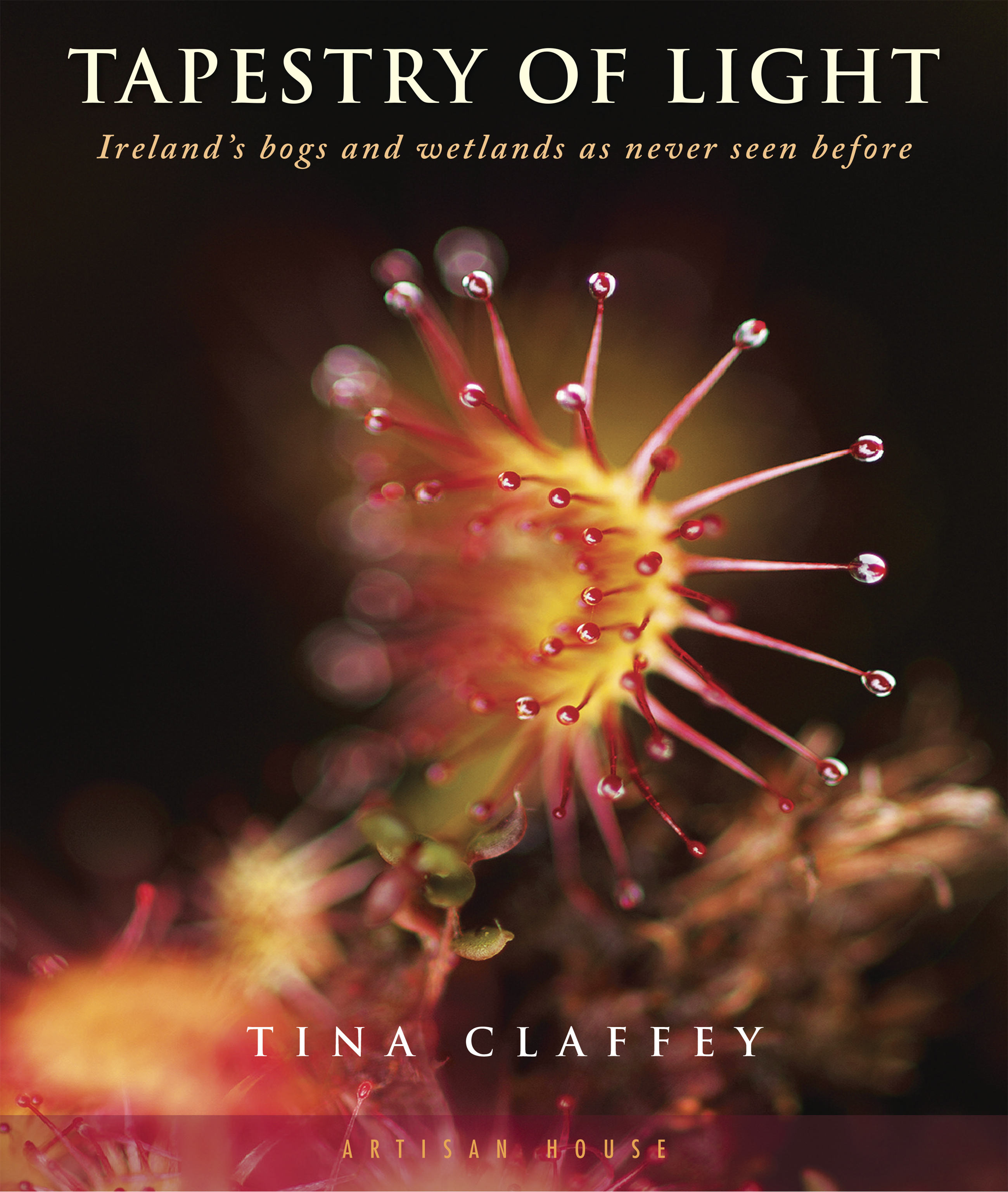 Tapestry of Light (Book)