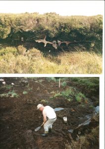 Peat Cutting