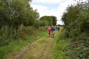 Visitors Walking