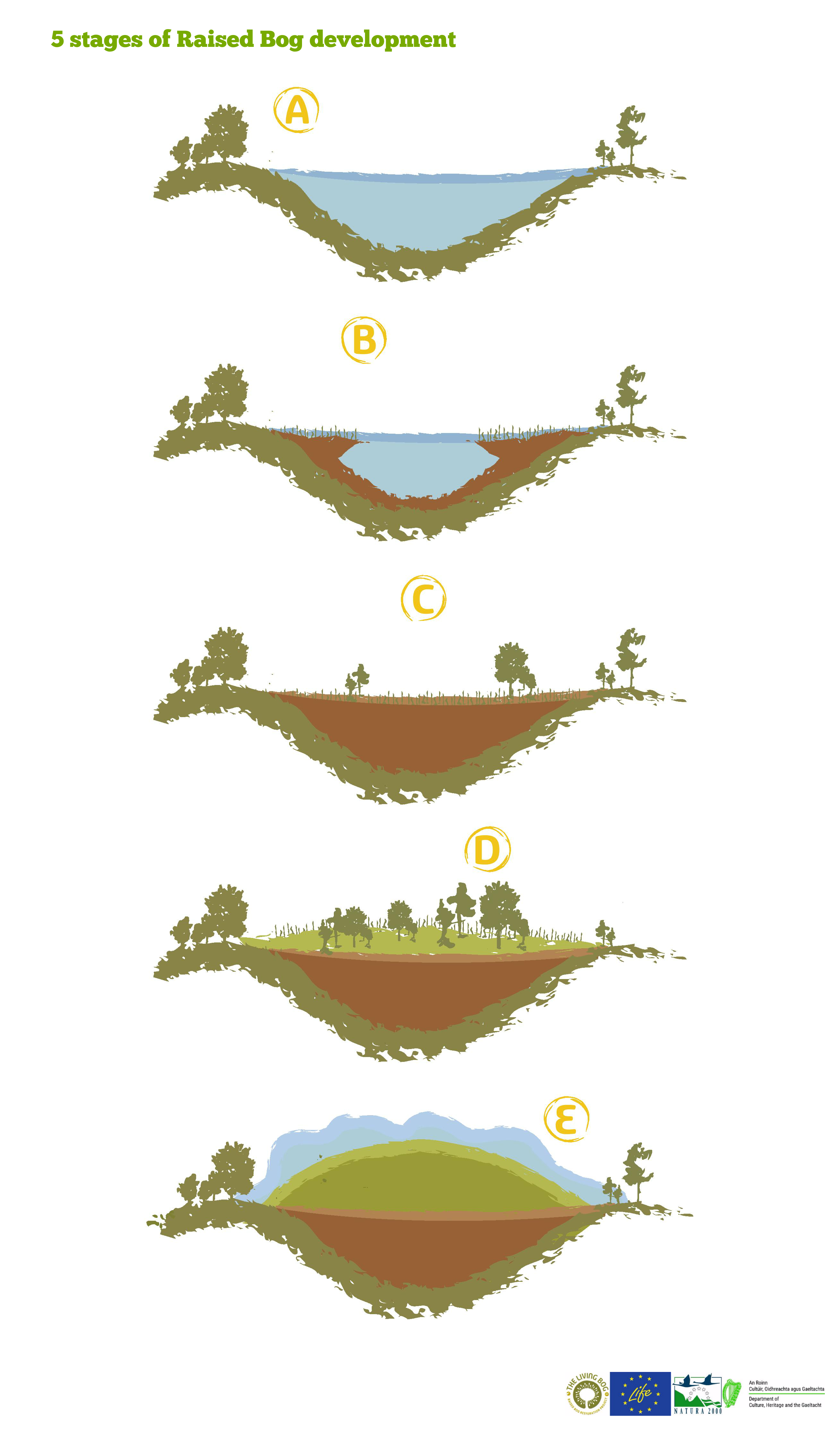 The Five Stages of Raised Bog Development