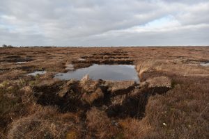 Drainage ditches on Carrownagappul Bog