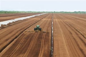 Peat Production site in Irish Midlands