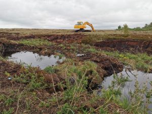 Raised Bogs Tractor