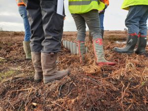 Carrownagappul Bog Restoration