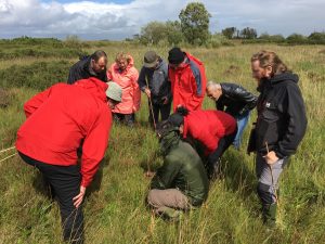 Visitors at Bog