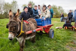 Donkey with Cart