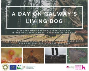 A Day on Galway's Living Bog