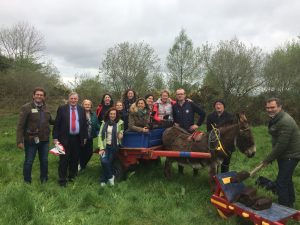 Donkey with Peat Cutters